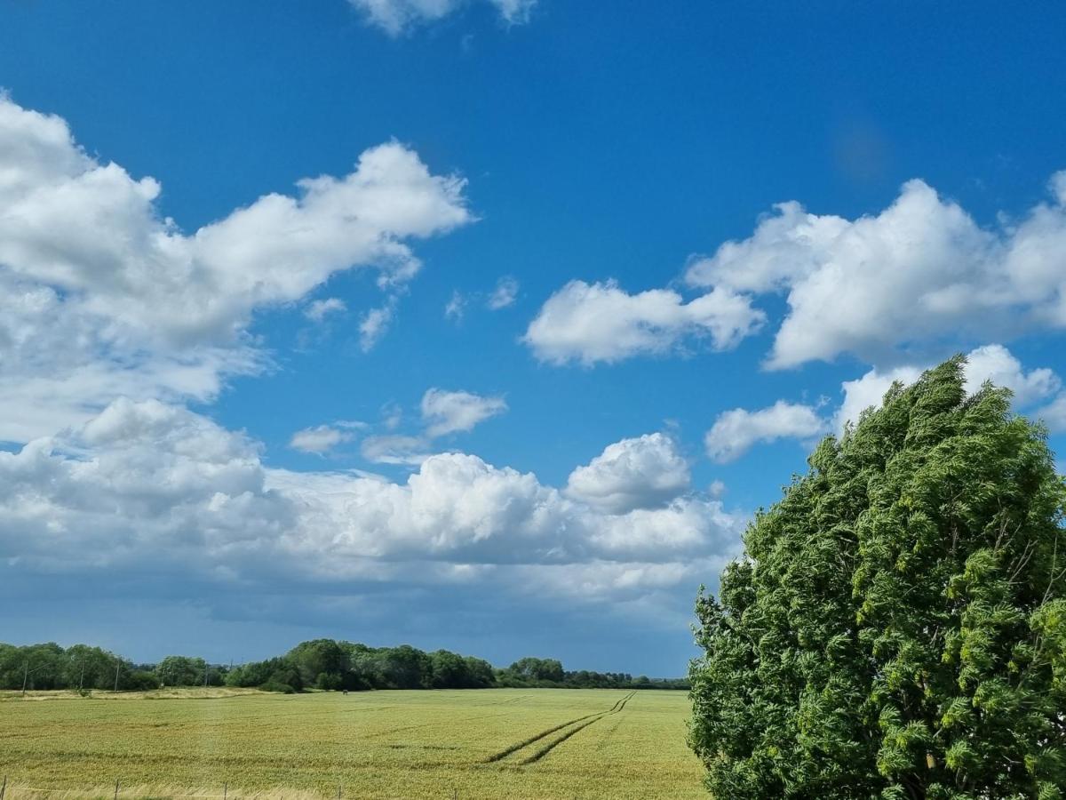 Scheune In Ostseenaehe Auch Mit Pferd Ducherow Esterno foto